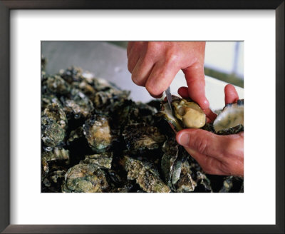 Shucking Oysters, Coffin Bay, Australia by John Hay Pricing Limited Edition Print image