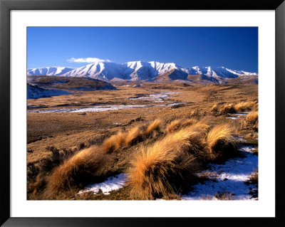 Tussocks And Hawkdun Range, Central Otago, New Zealand by David Wall Pricing Limited Edition Print image