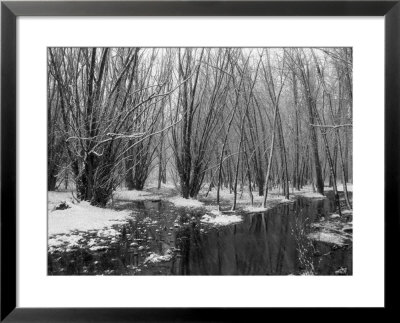 Black And White Infrared Image Of Cherry Creek State Park, Co by Susan A. Quinn Pricing Limited Edition Print image