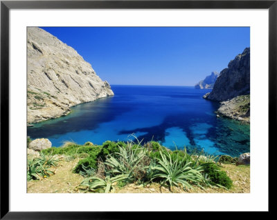 Bay Near Puerto Pollensa, Mallorca (Majorca), Balearic Islands, Spain, Europe by John Miller Pricing Limited Edition Print image