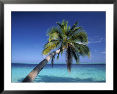 Tropical Beach At Maldives by Jon Arnold Pricing Limited Edition Print image