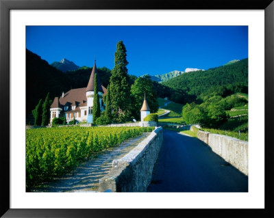 Vineyards And Chateau, Montreux, Switzerland by Peter Adams Pricing Limited Edition Print image