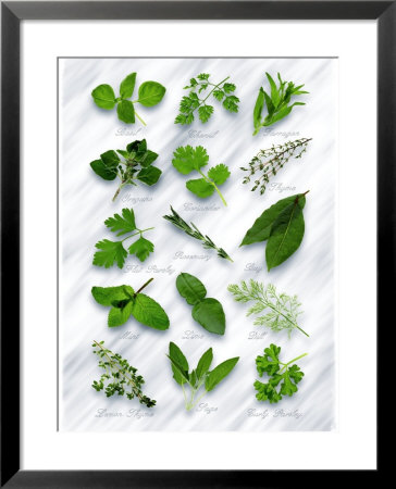 Various Herbs On Marble by Peter Howard Smith Pricing Limited Edition Print image