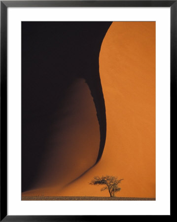Dusk Falls On Soussevlei Sand Dunes, Namibia by Darrell Gulin Pricing Limited Edition Print image
