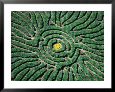 Aerial Of Corn Maze In Denver Botanic Gardens, Denver, Usa by Jim Wark Pricing Limited Edition Print image