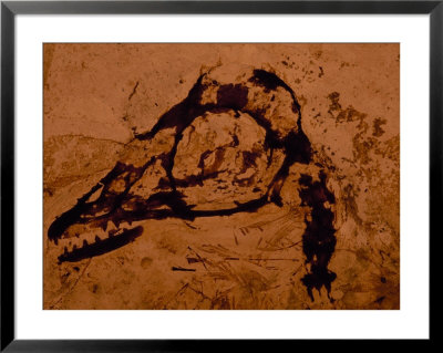 Earliest Known Bird Nestling Which Has Dinosaur-Like Skull And Teeth by O. Louis Mazzatenta Pricing Limited Edition Print image