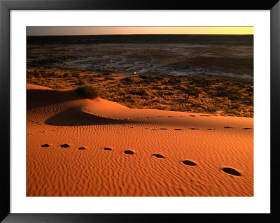 On Top Of The Big Red Sand Dune In The Simpson Desert, Birdsville,Queensland, Australia by John Hay Pricing Limited Edition Print image