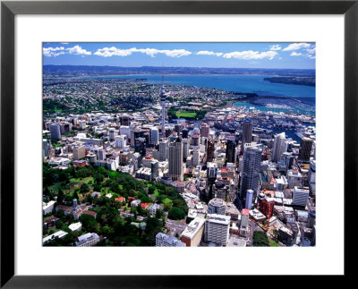 Albert Park And Auckland Cbd, New Zealand by David Wall Pricing Limited Edition Print image
