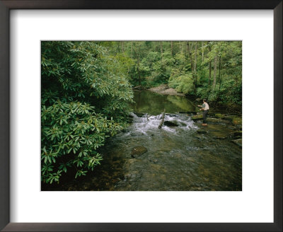 A Man Is Fly-Fishing On Tennessees Bald River by Stephen Alvarez Pricing Limited Edition Print image