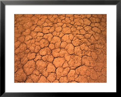 Parched Claypan Of Desert Simpson Desert, Australia by John Hay Pricing Limited Edition Print image