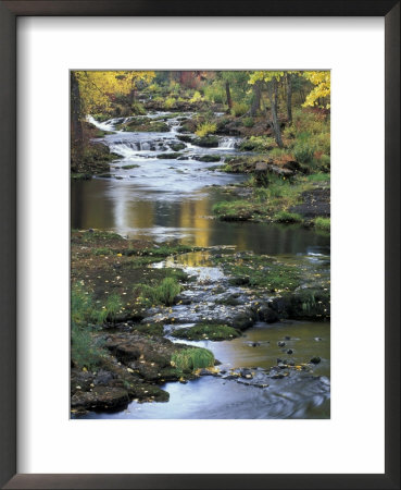Autumn Color On Stream, Trout Lake, Washington, Usa by William Sutton Pricing Limited Edition Print image