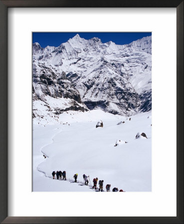 Trekkers In Line Near Annapurna Base Camp, Machhapuchhare, Gandaki, Nepal by Christer Fredriksson Pricing Limited Edition Print image