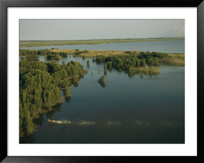 An Antelope Splashes Across The Futi River Flood Plain In The Maputo Elephant Reserve by Chris Johns Pricing Limited Edition Print image