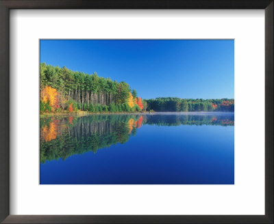 White Pines And Hardwoods, Meadow Lake, New Hampshire, Usa by Jerry & Marcy Monkman Pricing Limited Edition Print image