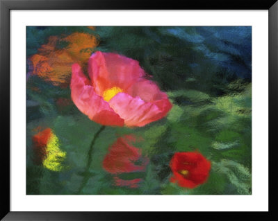 Impressionistic Poppies by David Carriere Pricing Limited Edition Print image