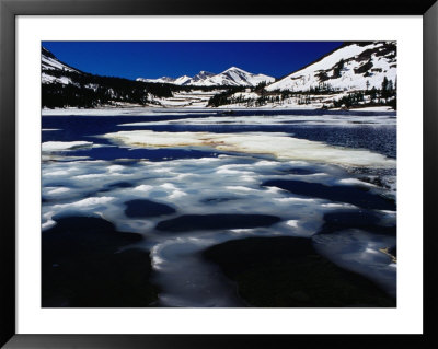 Tioga Lake In Winter, Yosemite National Park, California, Usa by Richard I'anson Pricing Limited Edition Print image