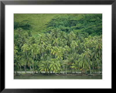 Shore Of A South Pacific Island Stream Lined With Palm Trees by Todd Gipstein Pricing Limited Edition Print image