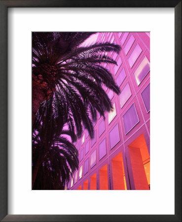 Commercial Facade With Palm Trees by Lonnie Duka Pricing Limited Edition Print image