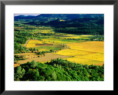 Napa Valley View, Napa Valley, United States Of America by Jerry Alexander Pricing Limited Edition Print image