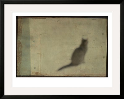 Blurred Cat Sitting by Mia Friedrich Pricing Limited Edition Print image