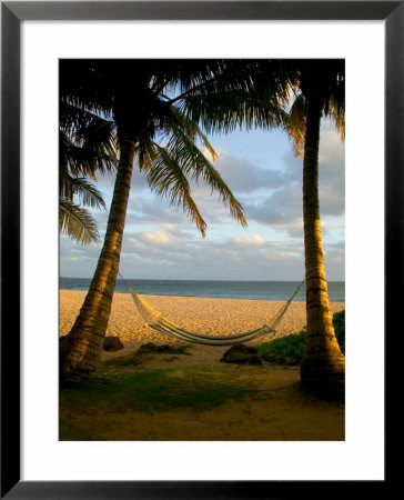 Ship Wreck Beach And Hammock, Kauai, Hawaii, Usa by Terry Eggers Pricing Limited Edition Print image