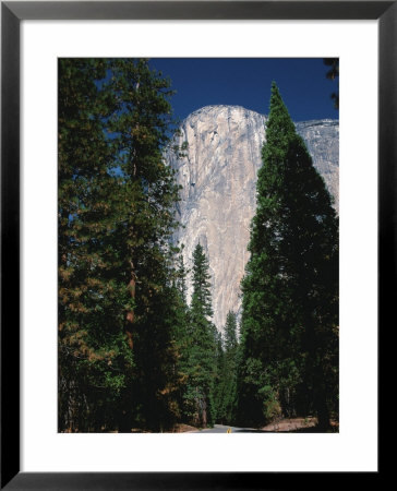 El Capitan, Yosemite National Park, California, Usa by Dee Ann Pederson Pricing Limited Edition Print image