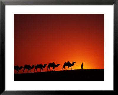 Camel Caravan At Sunrise, Silk Road, China by Keren Su Pricing Limited Edition Print image