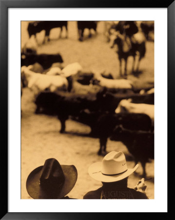 Cowboys At Indoor Rodeo, Fort Worth, Texas, Usa by Walter Bibikow Pricing Limited Edition Print image