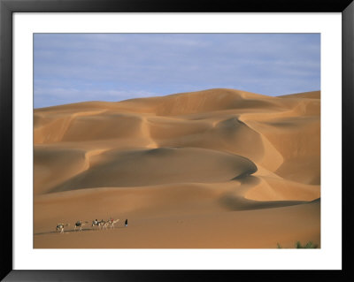 A Tuareg Tribesman Leads His Camels Through The Dunes Of The Sahara by Peter Carsten Pricing Limited Edition Print image