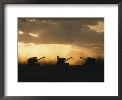 Combines Silhouetted At Dusk by David Boyer Pricing Limited Edition Print image