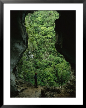A Man Stands At The Mouth Of A Fluvial Cave Near Lush Slope by Steve Winter Pricing Limited Edition Print image