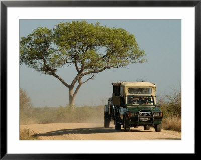 Truck On Road In Kruger National Park by Keith Levit Pricing Limited Edition Print image