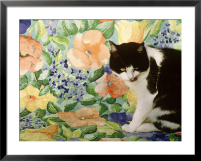 Black And White Cat Sitting On A Floral Chair by Lynne Brotchie Pricing Limited Edition Print image