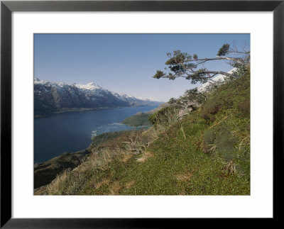 Wind-Pruned Vegetation On A Hillside Above Fjord Of The Mountains by Gordon Wiltsie Pricing Limited Edition Print image