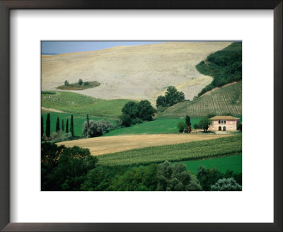 Tuscan Landscape Near San Gimignano, San Gimignano, Tuscany, Italy by Diana Mayfield Pricing Limited Edition Print image