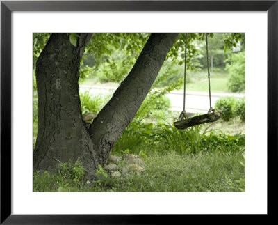Wooden Swing Hanging From Tree by Eric Kamp Pricing Limited Edition Print image