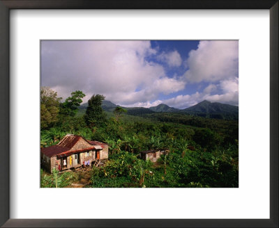 Overhead Of House In Rainforest, Roseau Valley, Dominica by Michael Lawrence Pricing Limited Edition Print image