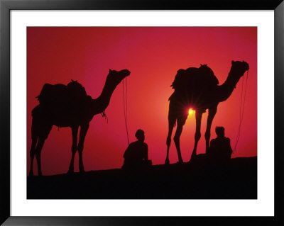 Silhouette Of Men And Camels, India by Michele Burgess Pricing Limited Edition Print image