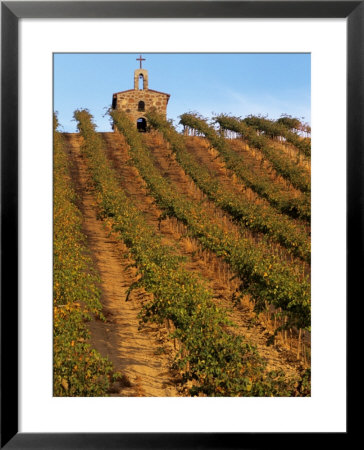 Red Willow Vineyard With Stone Chapel, Yakima County, Washington, Usa by Jamie & Judy Wild Pricing Limited Edition Print image