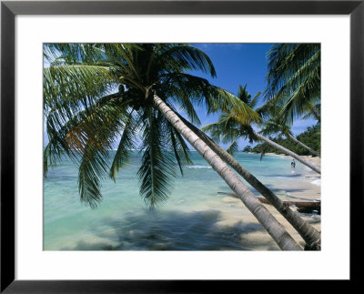 Beach, Capesterre Region, Ile De Marie-Galante, French Antilles, West Indies, Central America by Bruno Barbier Pricing Limited Edition Print image
