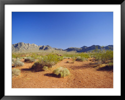 Valley Of Fire State Park, Mojave Desert, Nevada, Usa by Fraser Hall Pricing Limited Edition Print image