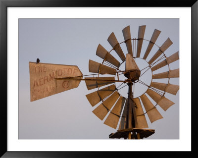 A Bird Perches On A Windmill At The Historical Steven's Creek Farm by Joel Sartore Pricing Limited Edition Print image