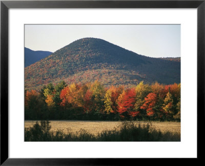 Autumn Colors Paint A New Hampshire Mountain Side by Heather Perry Pricing Limited Edition Print image