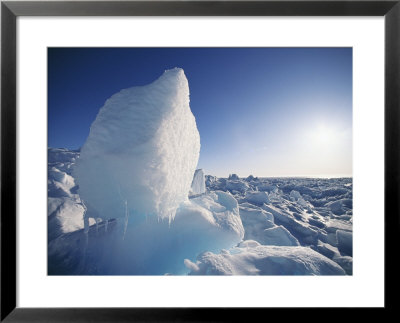 A View Of Arctic Ice by Norbert Rosing Pricing Limited Edition Print image