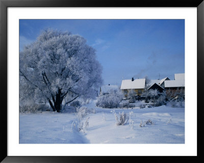 Snow-Covered Houses On Banks Of River Nemunas, Lithuania by Jonathan Smith Pricing Limited Edition Print image