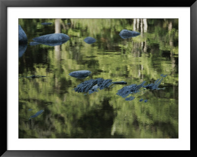 Stepping-Stones Reflected In The Mersey River by Michael S. Lewis Pricing Limited Edition Print image