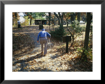 An Old Man Walking A Path At The Pinnacles Picnic Area by Raymond Gehman Pricing Limited Edition Print image