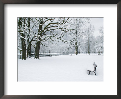 Chateau De Vizille Park After Winter Storm, Vizille, Isere, French Alps, France by Walter Bibikow Pricing Limited Edition Print image