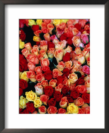 Roses For Sale At A Morning Market On Cours Saleya In The Old Town, Nice, France by Richard I'anson Pricing Limited Edition Print image