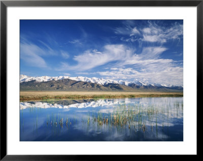 Ruby Mountains And Slough Along Franklin Lake, Ux Ranch, Great Basin, Nevada, Usa by Scott T. Smith Pricing Limited Edition Print image